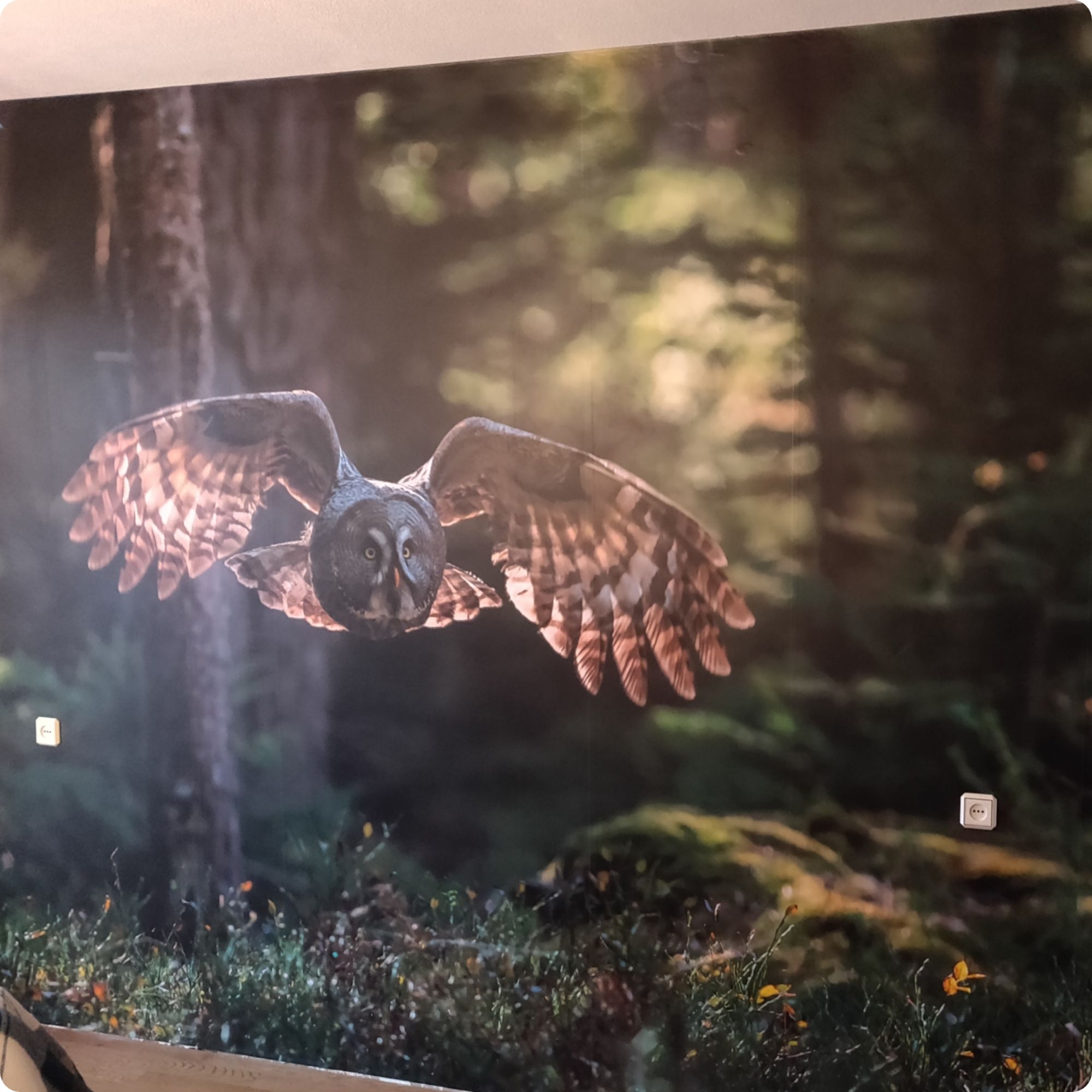 Professionaalne paigaldus